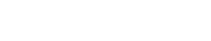 Solomon Admissions Consulting Logo